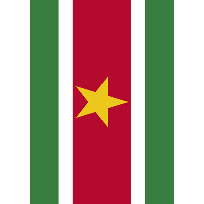 Suriname Garden flag Toland Home Garden