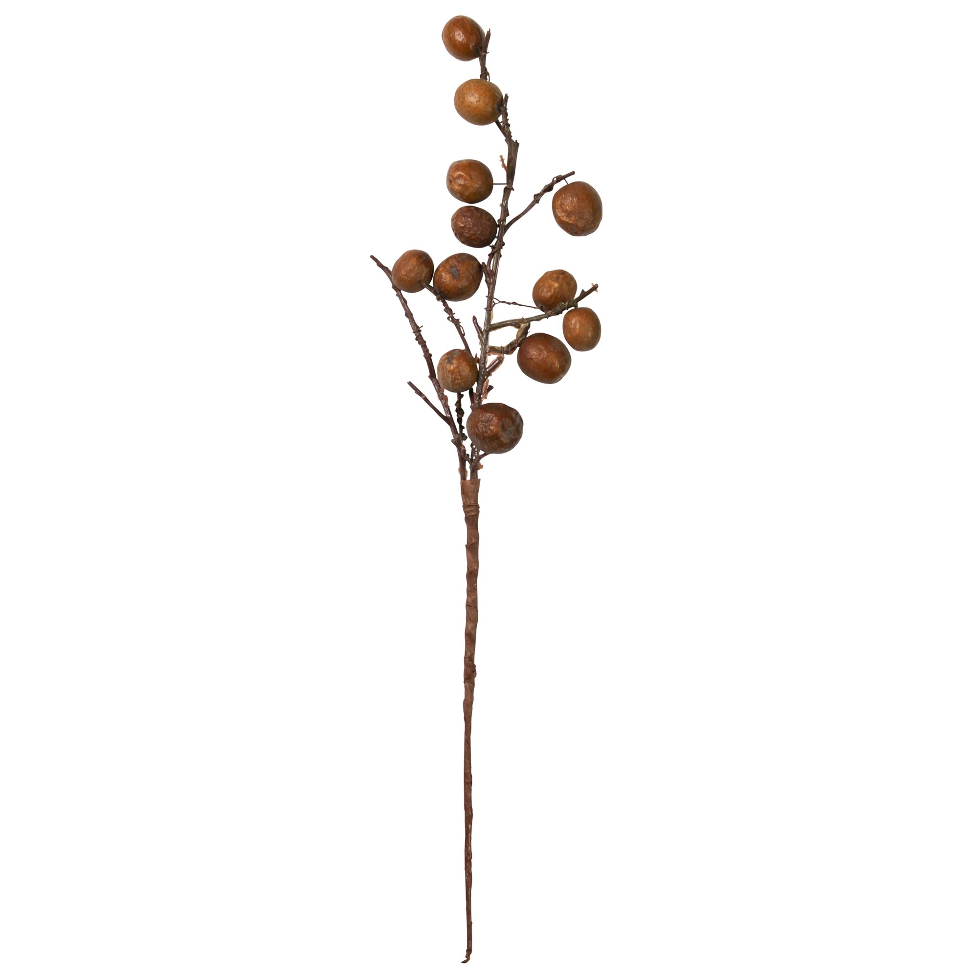 Primrue Botanical Stem | Wayfair