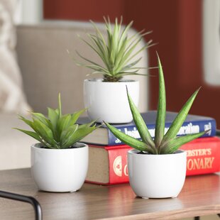 View Aldorough 3 Piece Faux Southwest Succulent Set Span Class productcard