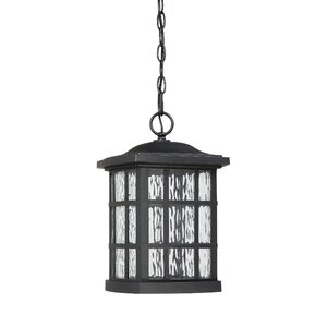 Lockett 1-Light Outdoor Hanging Lantern