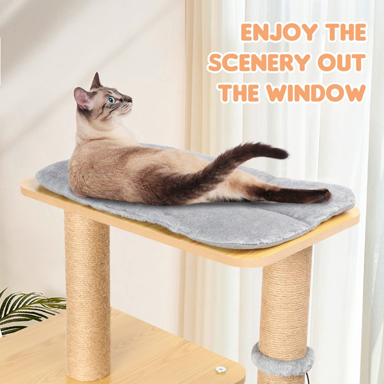 cat scratching tree for large cats