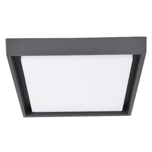 LED Outdoor Ceiling Light Image