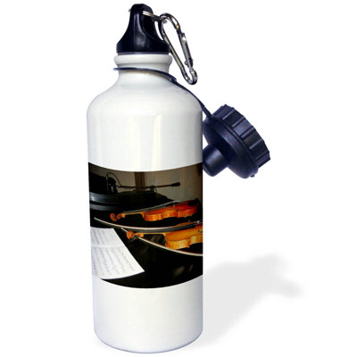 21 oz Stainless Steel Water Bottle 3dRose Theme Violins and Music Stringed Instruments