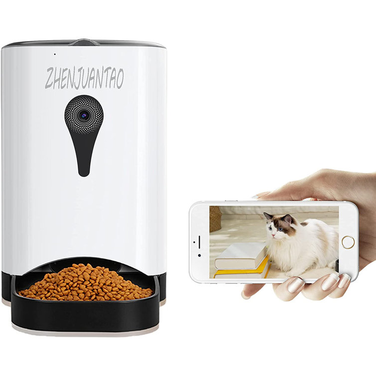 cat camera feeder