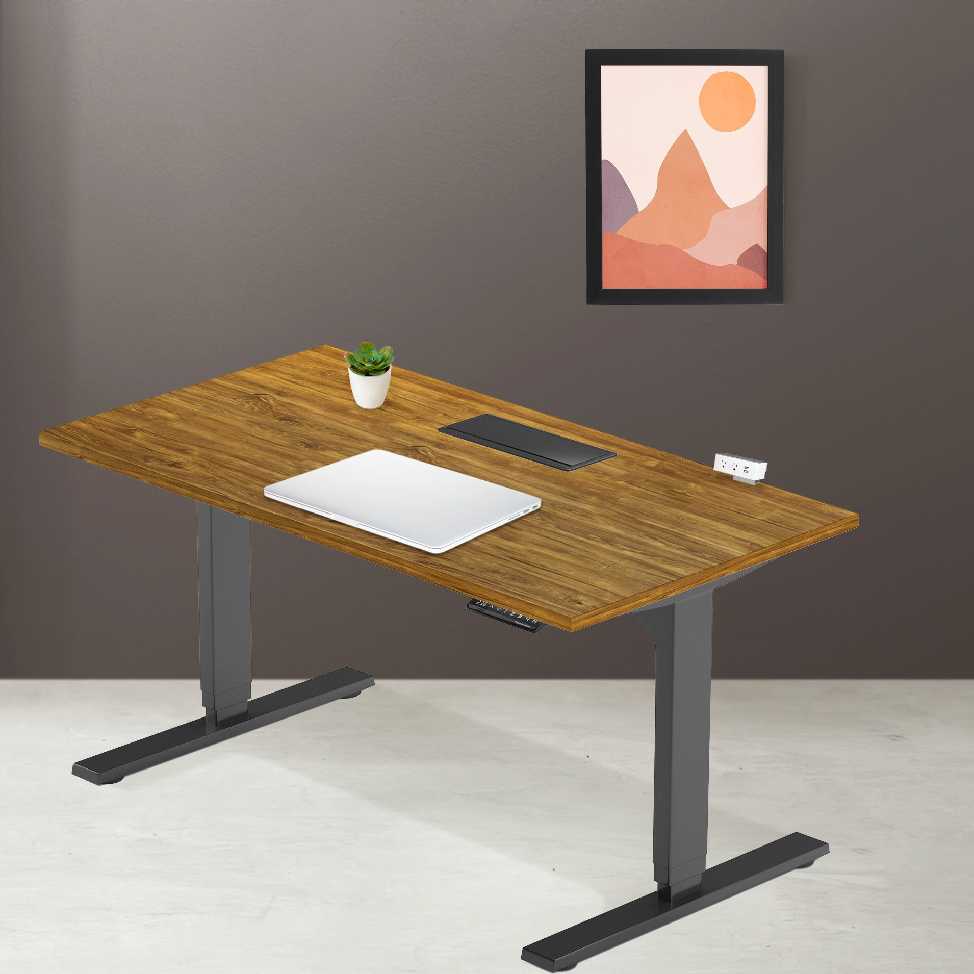 solo height adjustable desk