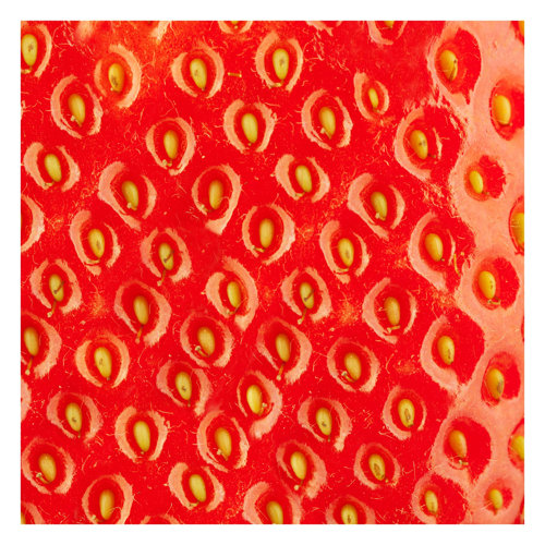 Strawberry Structure 2.4m x 2.4m Textured Matte Peel & Stick Wall Mural East Urban Home