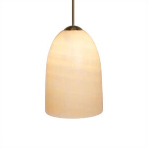 Genuine 1-Light Track Pendant