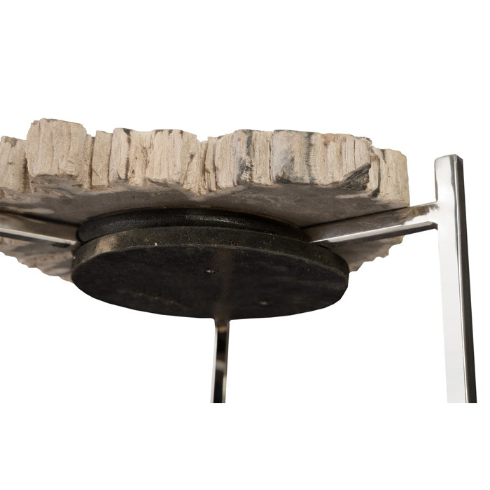 Phillips Collection Petrified Wood Beverage End Table Wayfair