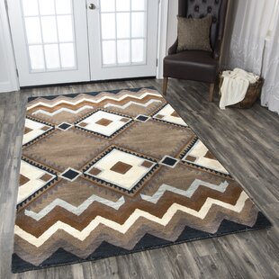 Farmhouse Rustic Western Area Rugs Birch Lane