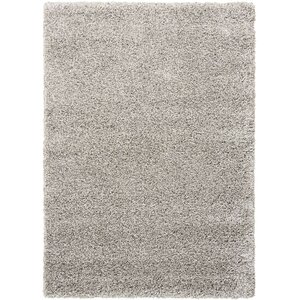 Shelley Light Gray Area Rug