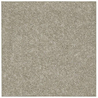 Latitude Run Choteau Binded Polyester Area Rug Set Of 12 Wayfair