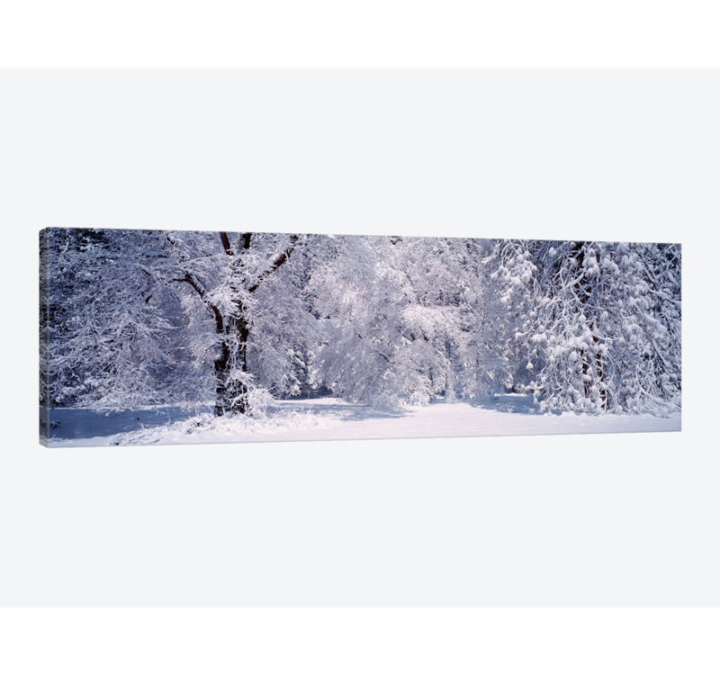East Urban Home Snowy Winter Landscape Yosemite National Park