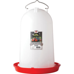 Chicken Water Feeder Wayfair Ca