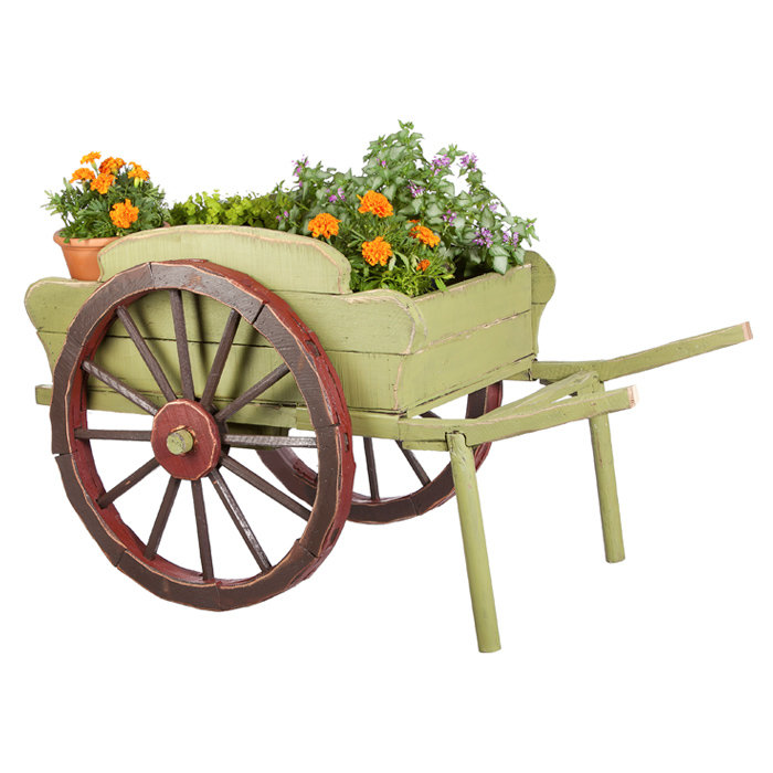 Evergreen Flag Garden Wood Wheelbarrow Planter Reviews Wayfair
