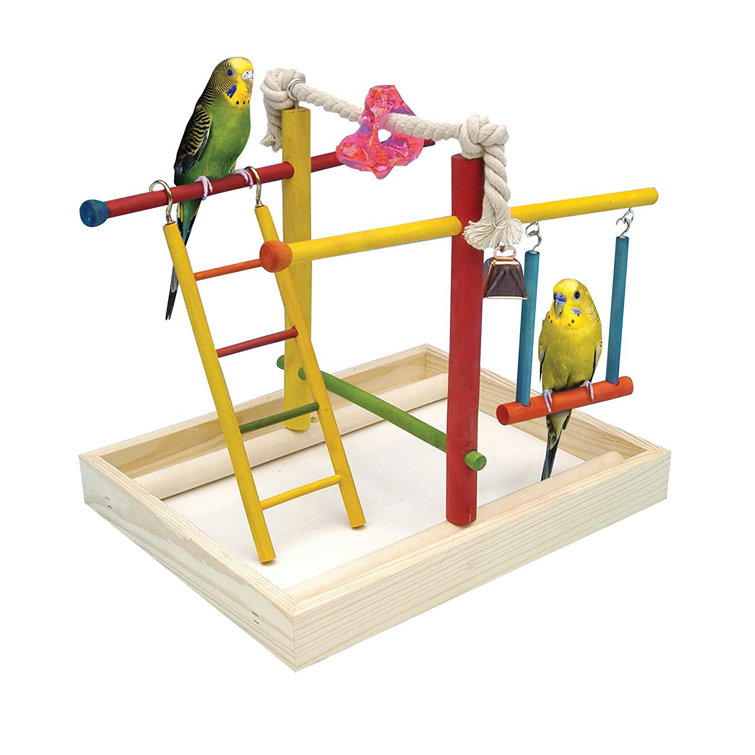 parakeet jungle gym