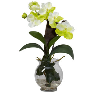 Mini Vanda with Fluted Vase Silk Flower in White