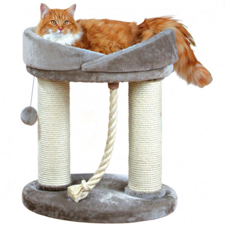 cat scratching post wayfair