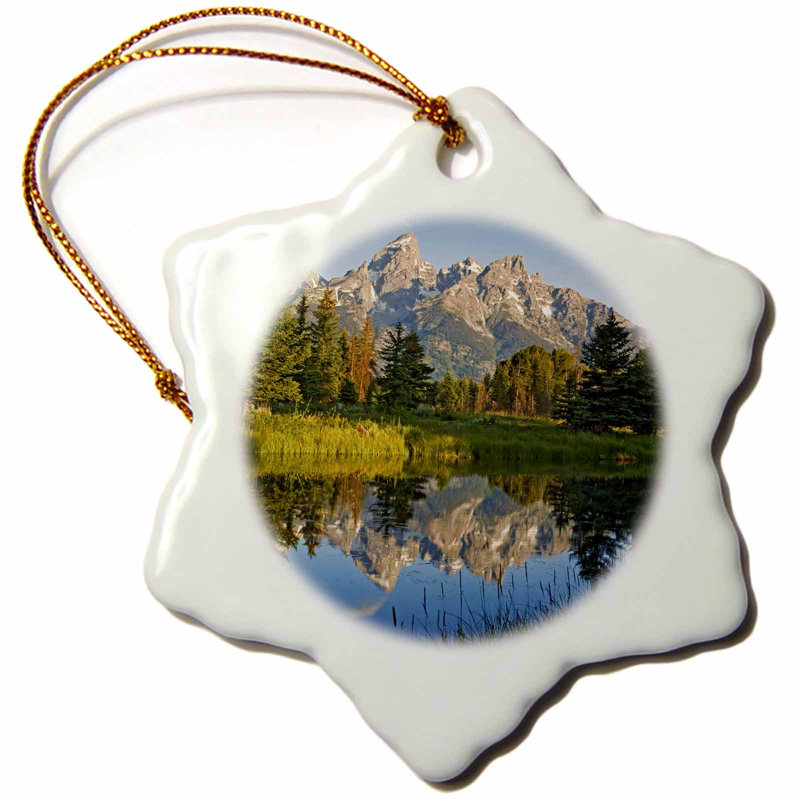 The Holiday Aisle Usa Wyoming Grand Teton National Park Snowflake Holiday Shaped Ornament Wayfair