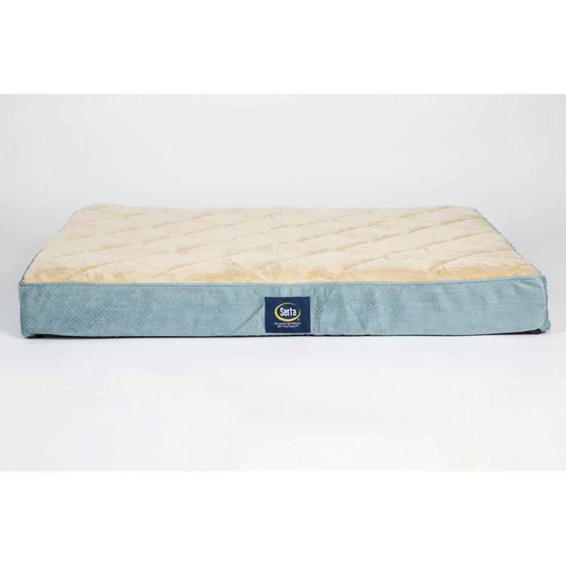 Serta Ortho Pillowtop Pet Bed Reviews Wayfair