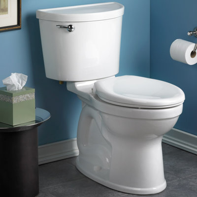 Champion 1.28 GPF (Water Efficient) Elongated Two-Piece Toilet (Seat Not Included)
