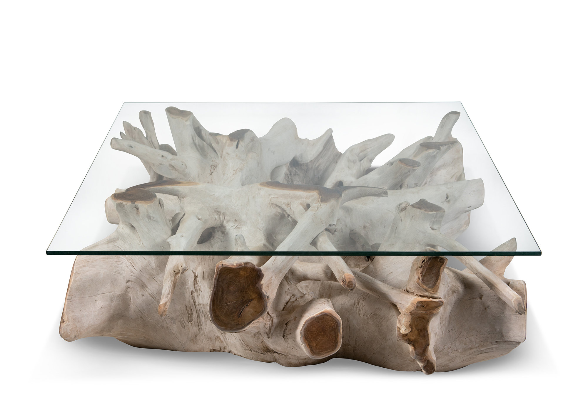 Ibolili Bleach Teak Coffee Table Wayfair