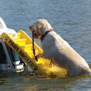 Doggy Boat Pet Stair