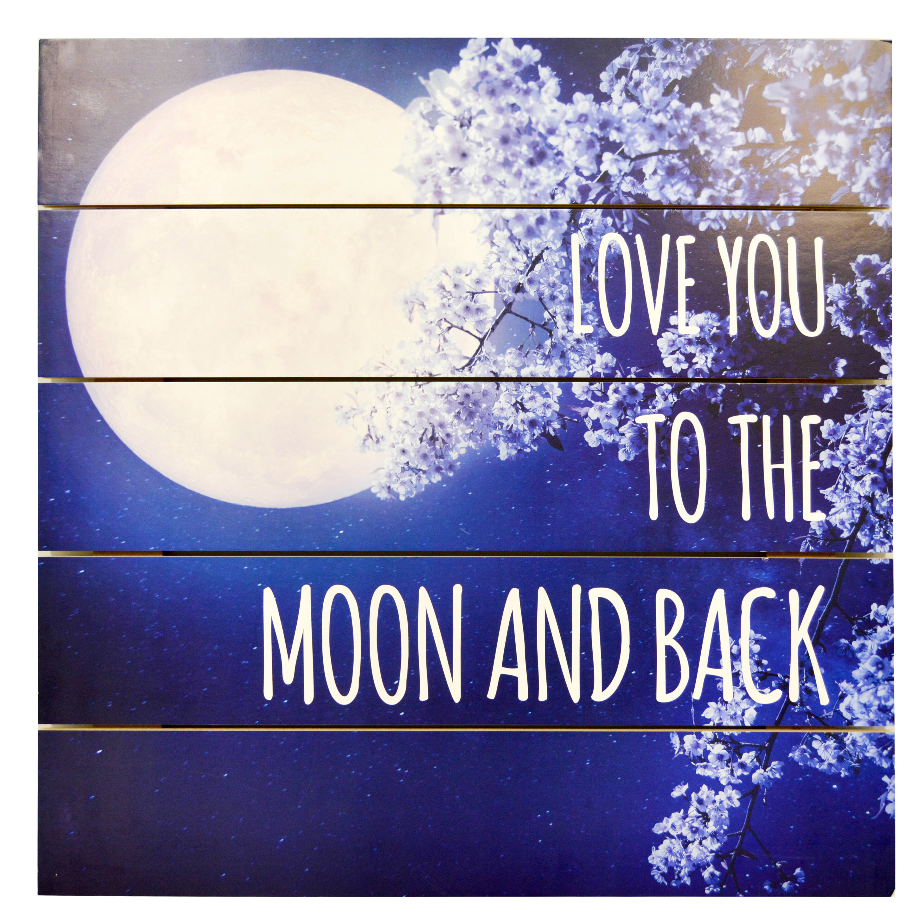 Harriet Bee Love You To The Moon And Back Photographic Print On Wood Wayfair