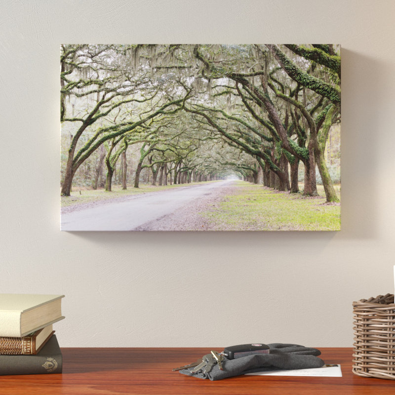 Loon Peak Oak Trees With Spanish Moss In Savannah Georgia 2 By