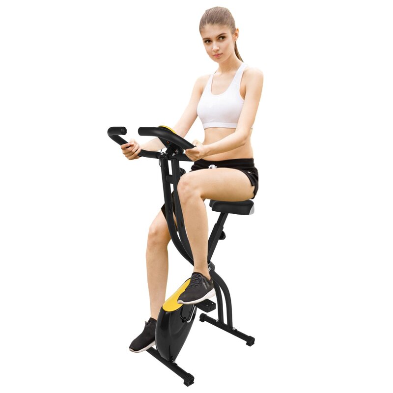 wayfair exercise bike