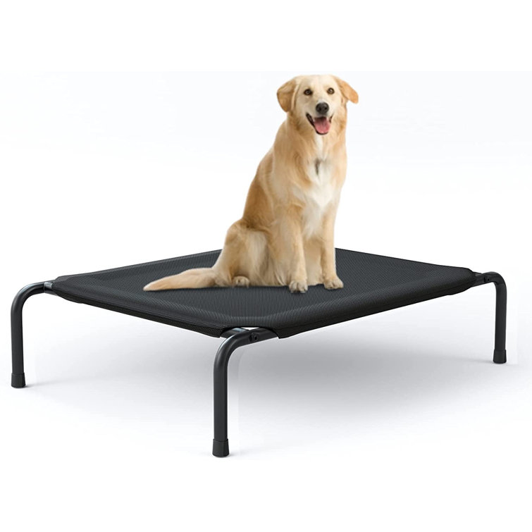 medium raised dog bed