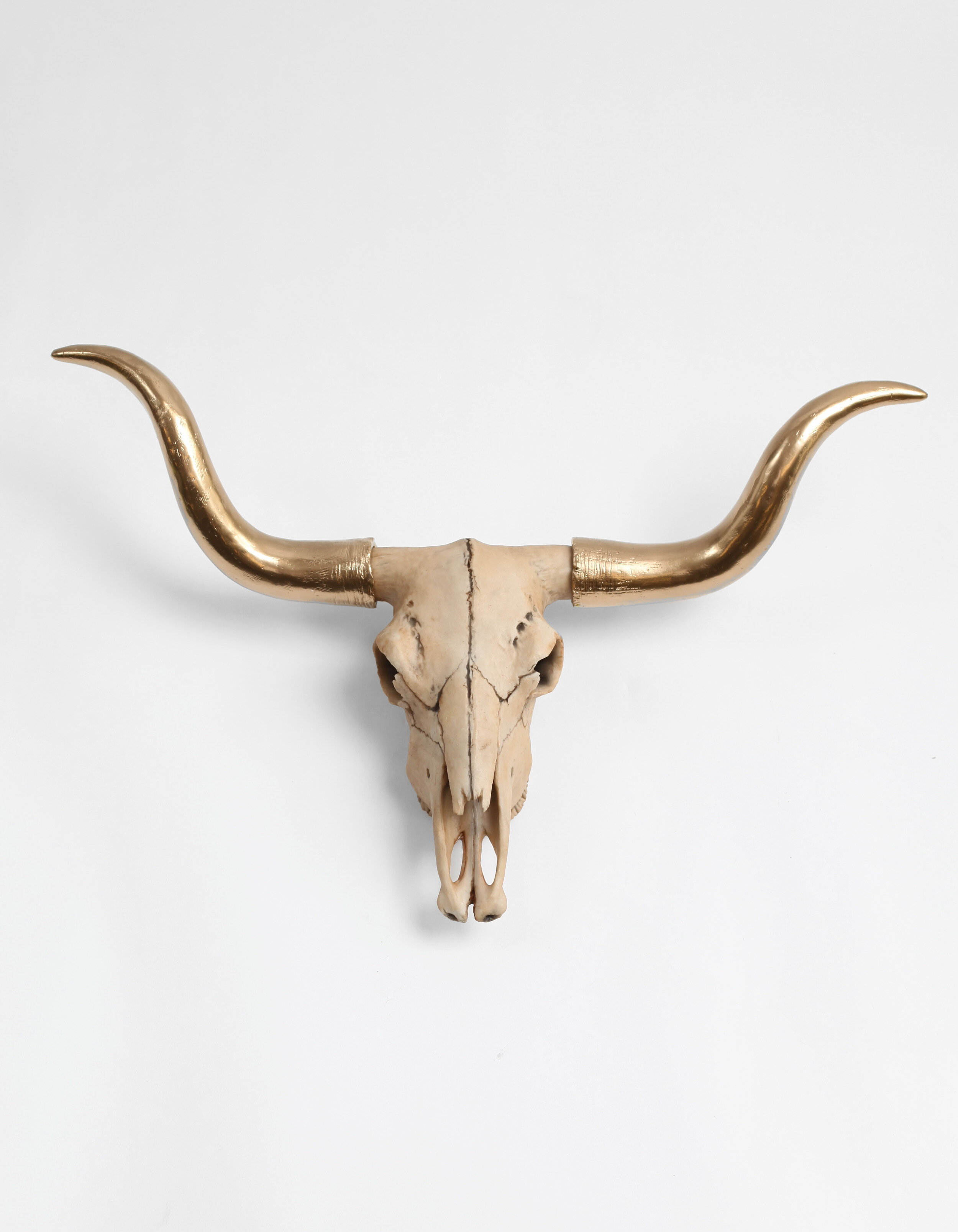 Union Rustic Natural Cow Skull With Horns Wall Decor Wayfair