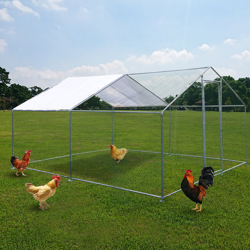 Tucker Murphy Pet Zed Walk In Chicken Tractor With Chicken Run