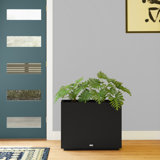 Farmhouse Rustic Black Planters Birch Lane West elm's outdoor collection features stone planters, wall planters & more. farmhouse rustic black planters