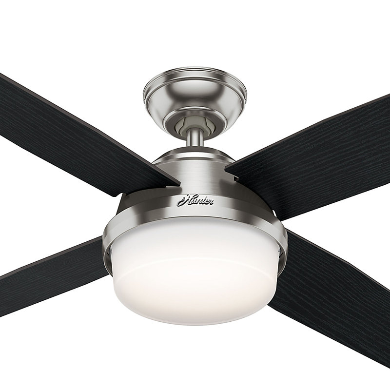 Lamps Lighting Ceiling Fans Ceiling Fans Hunter Dempsey 52 Damp