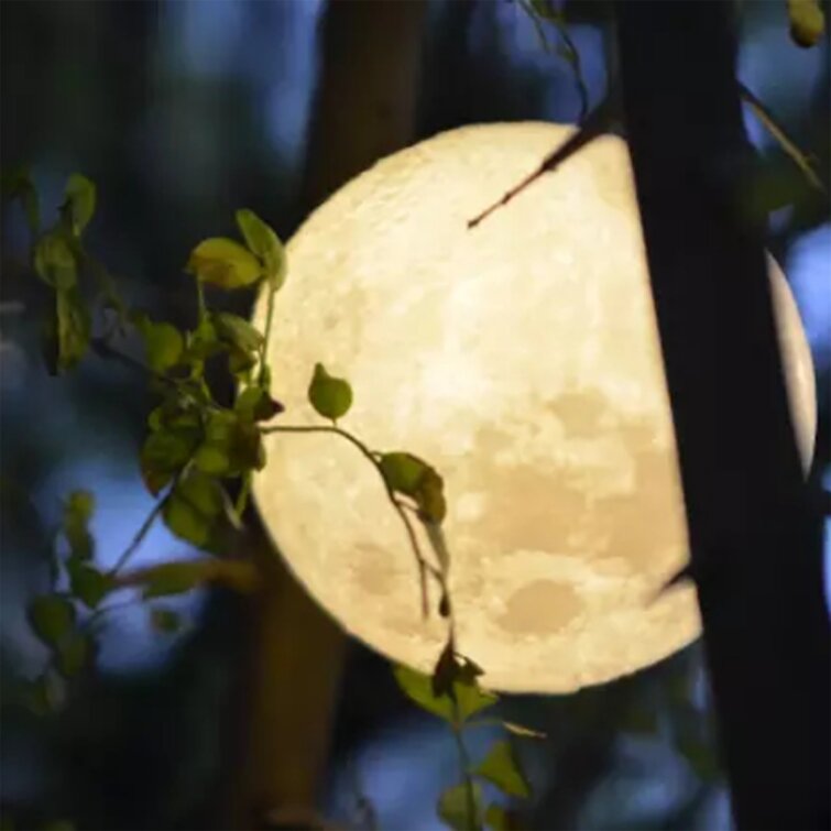 3D USB LED Large Moon Night Light Moonlight Table Desk Moon Lamp Home Decor US 