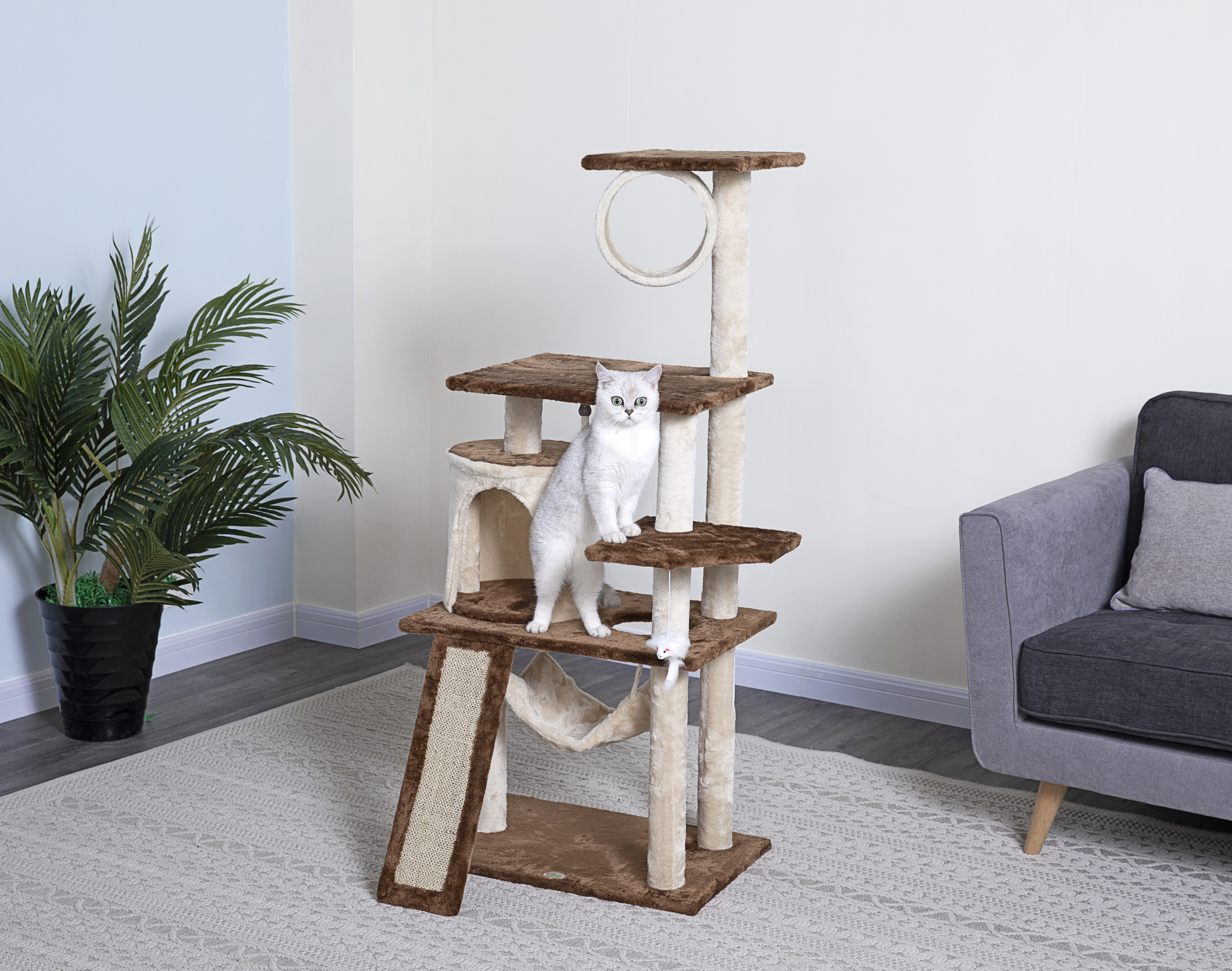 cat play structure