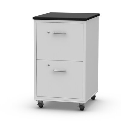 2 Drawer Rolling Modular Cabinet Chest Steelsentry