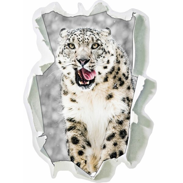 memory clean snow leopard