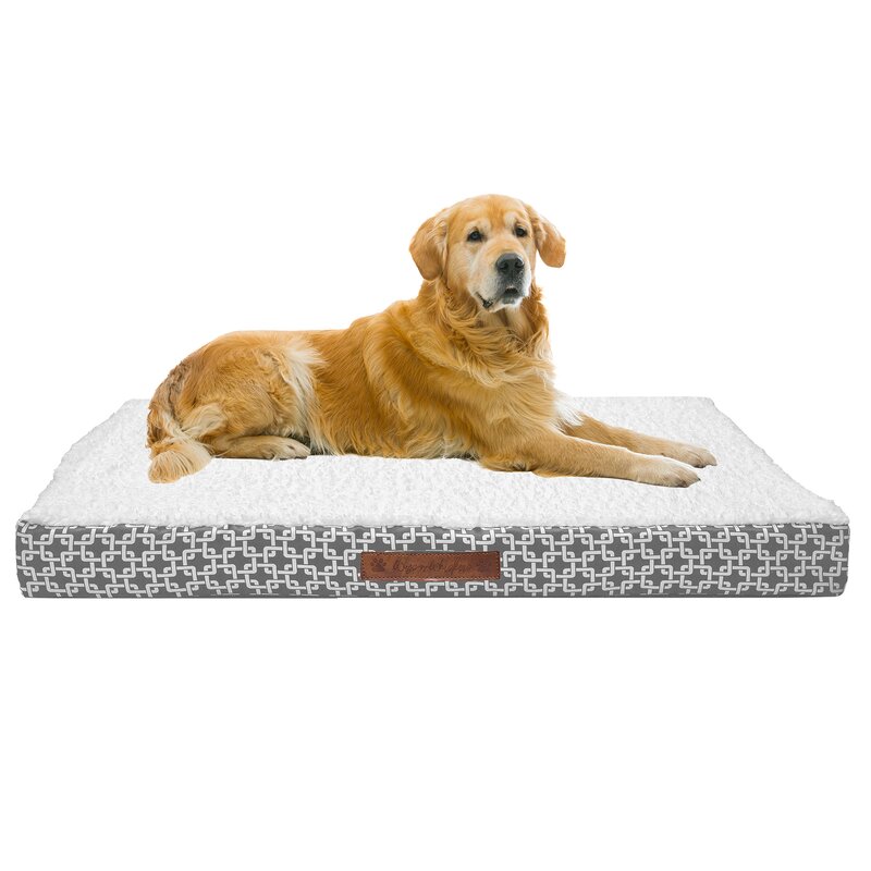 orthopedic dog bed canada