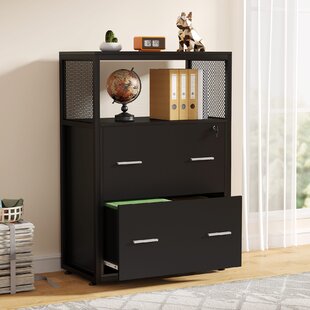 Black 2 Drawer Mobile File Cabinet with Lock Metal Filling Cabinets Suits Legal/Letter Size for Home Office Fully Assembled Except Wheels 