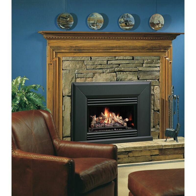 Kingsman Fireplaces Direct Vent Natural Gas/Propane ...