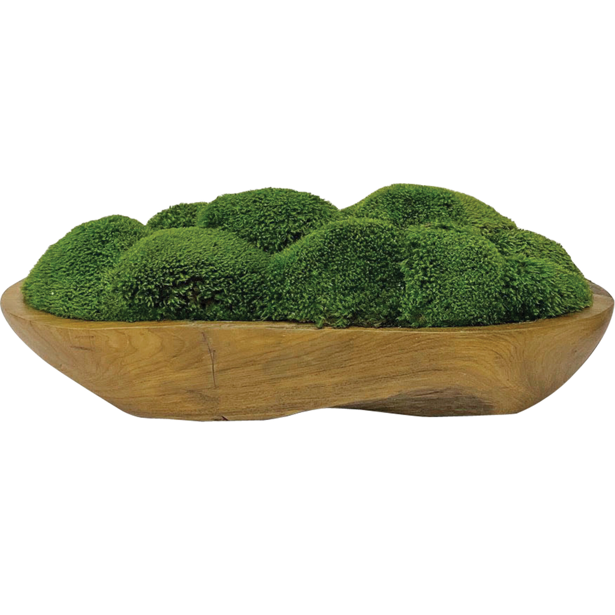 moss center piece