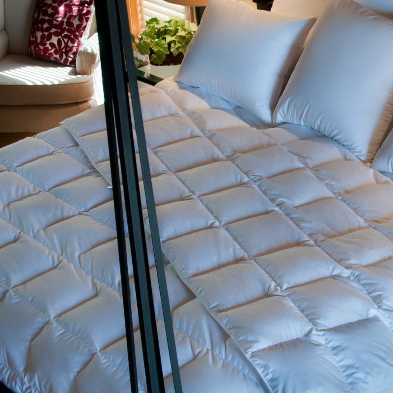 Ogallala Comfort Company Avalon Lightweight Down Comforter & Reviews Wayfair