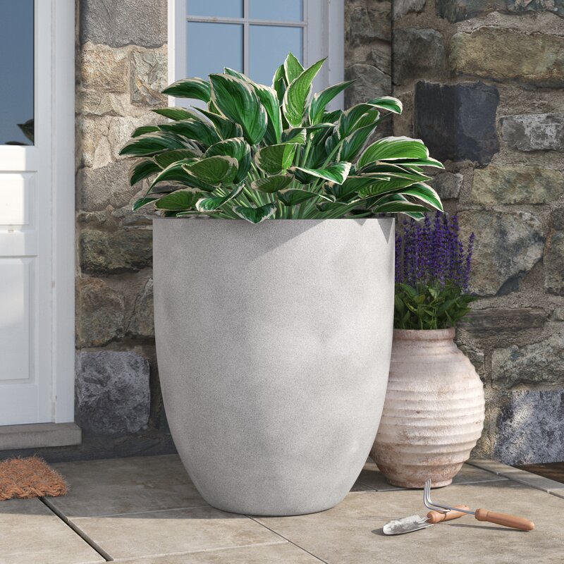 Erhard Fiberglass Pot Planter & Reviews