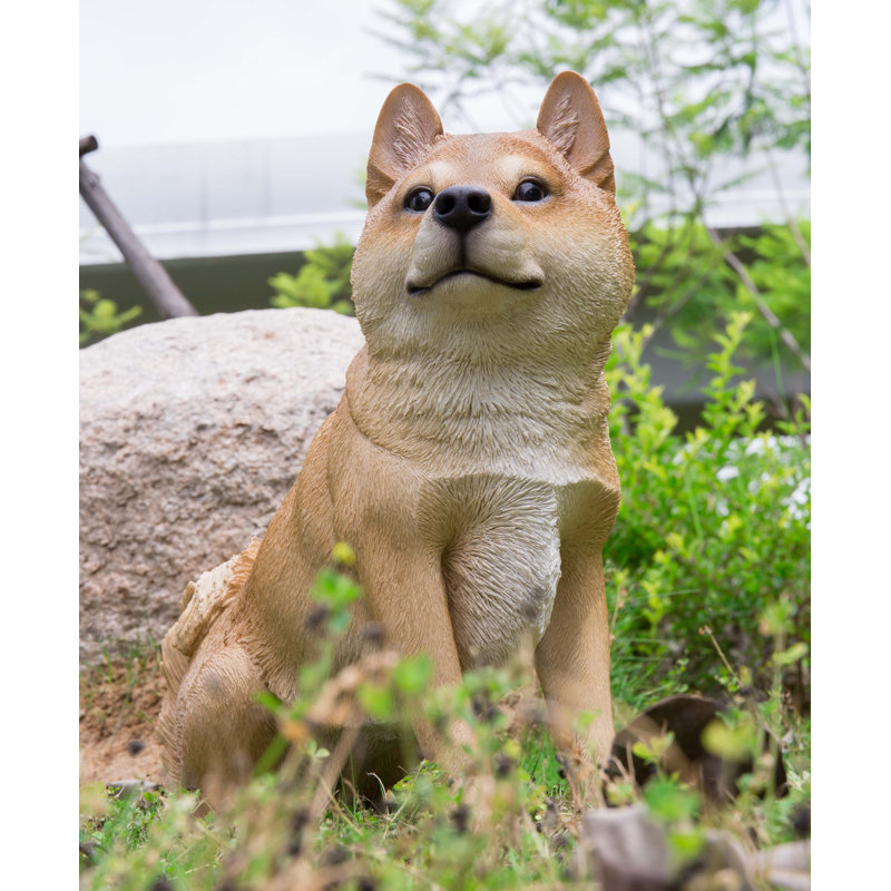 adirondack shibas