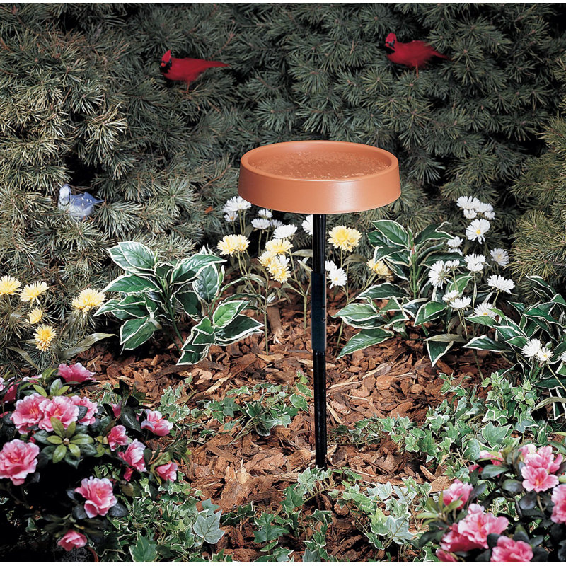 Heated Birdbath