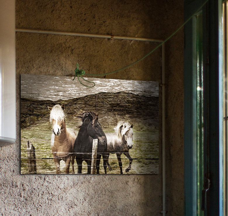 Millwood Pines Horse Bangs Distressed Graphic Art Print On Wood Millwood Pines Horse Bangs Distressed