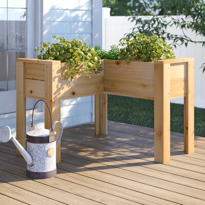 Raised Garden Beds &amp; Elevated Planters You'll Love in 2019 