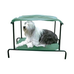 Elevated Breezy Bedu2122 Outdoor Dog