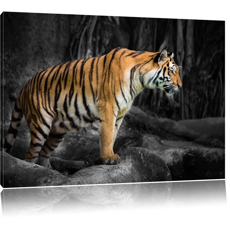 Glas-Bild Wandbilder Druck auf Glas 100x70 Deko Tiere Bengalischer Tiger 